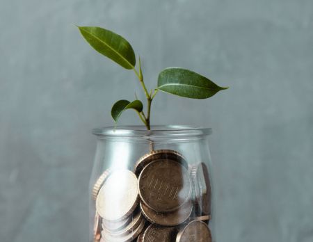 Plant seedling grows from a jar filled with coins